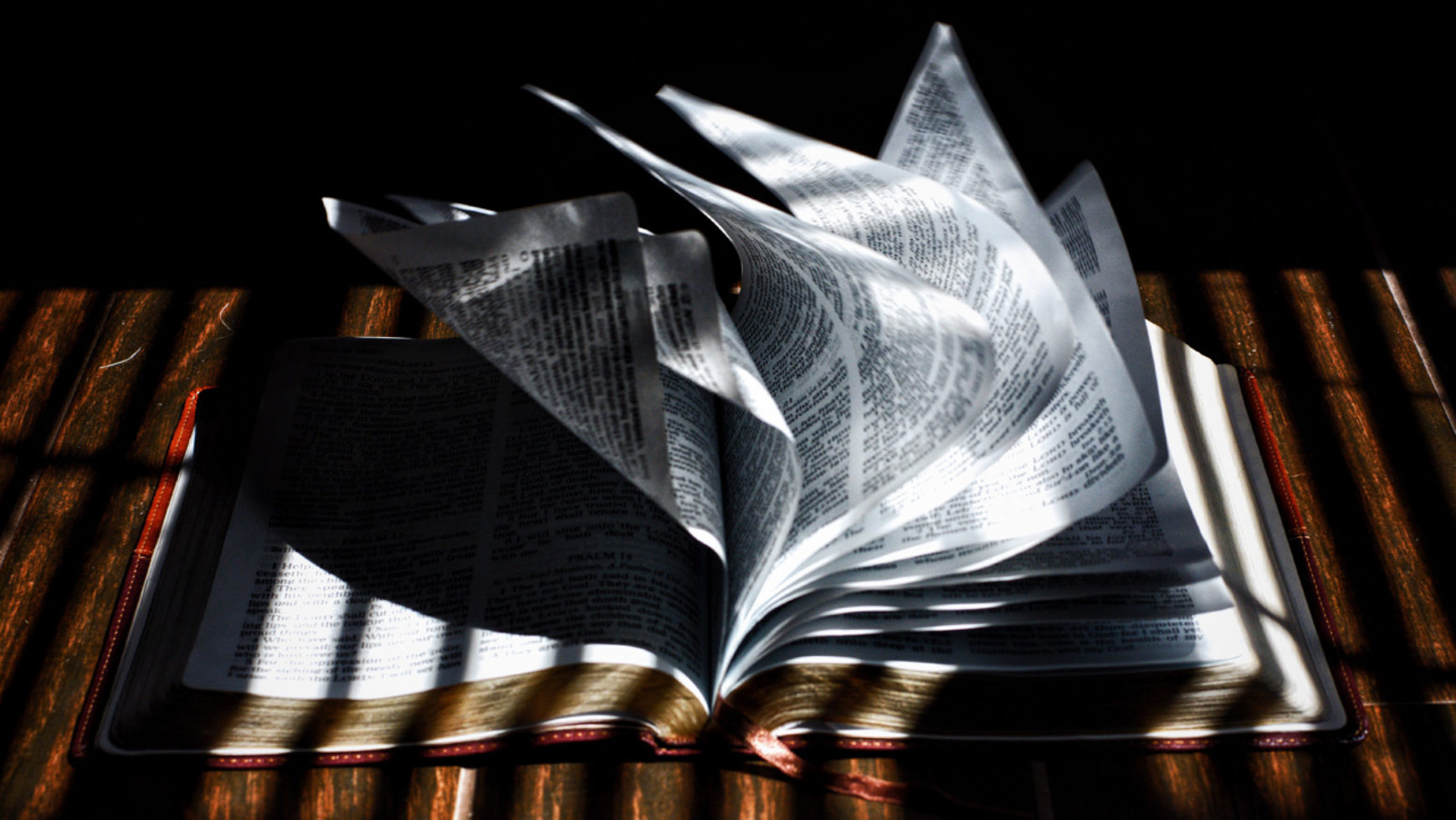 Public Reading of Scripture – John 1-10