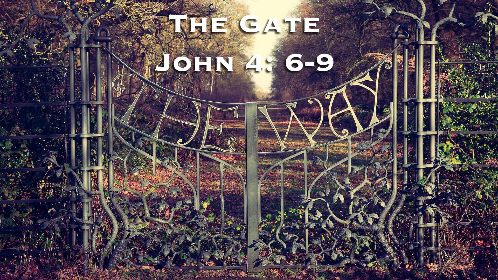 The Gate (John 10:6-9)